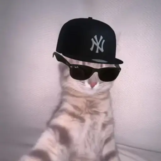 Vexy